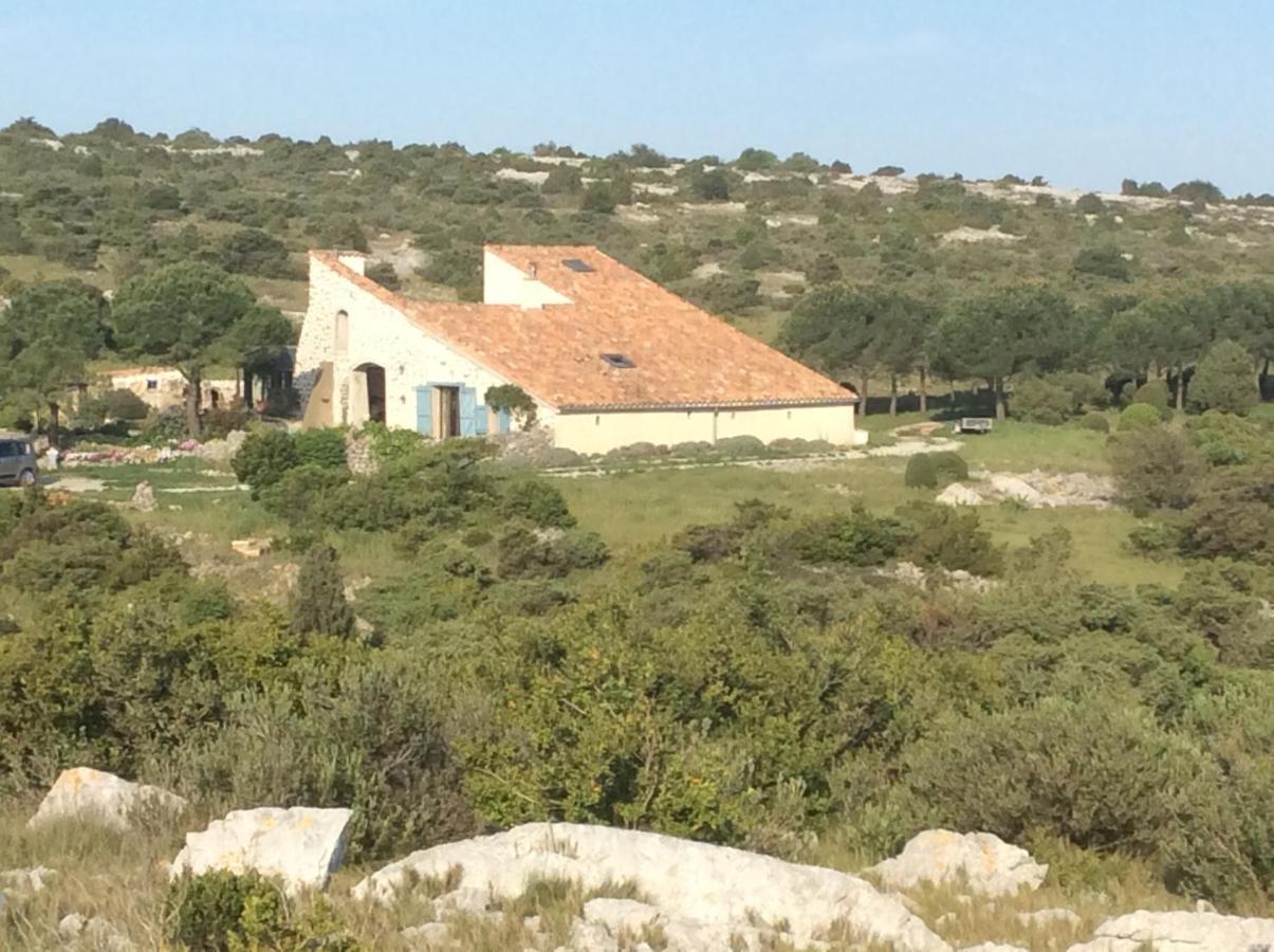 Villa Domaine Castelsec à Roquefort-des-Corbières Extérieur photo